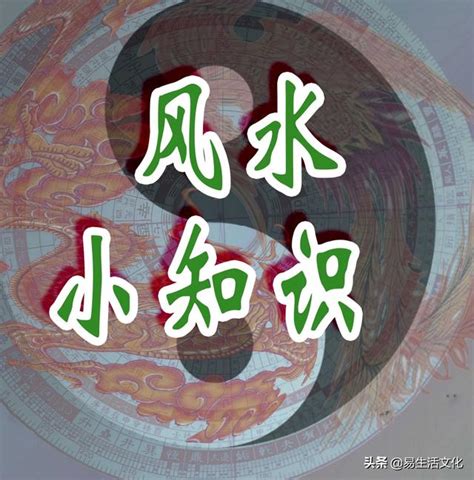 樹梢戶風水|不再被樹梢戶迷惑了